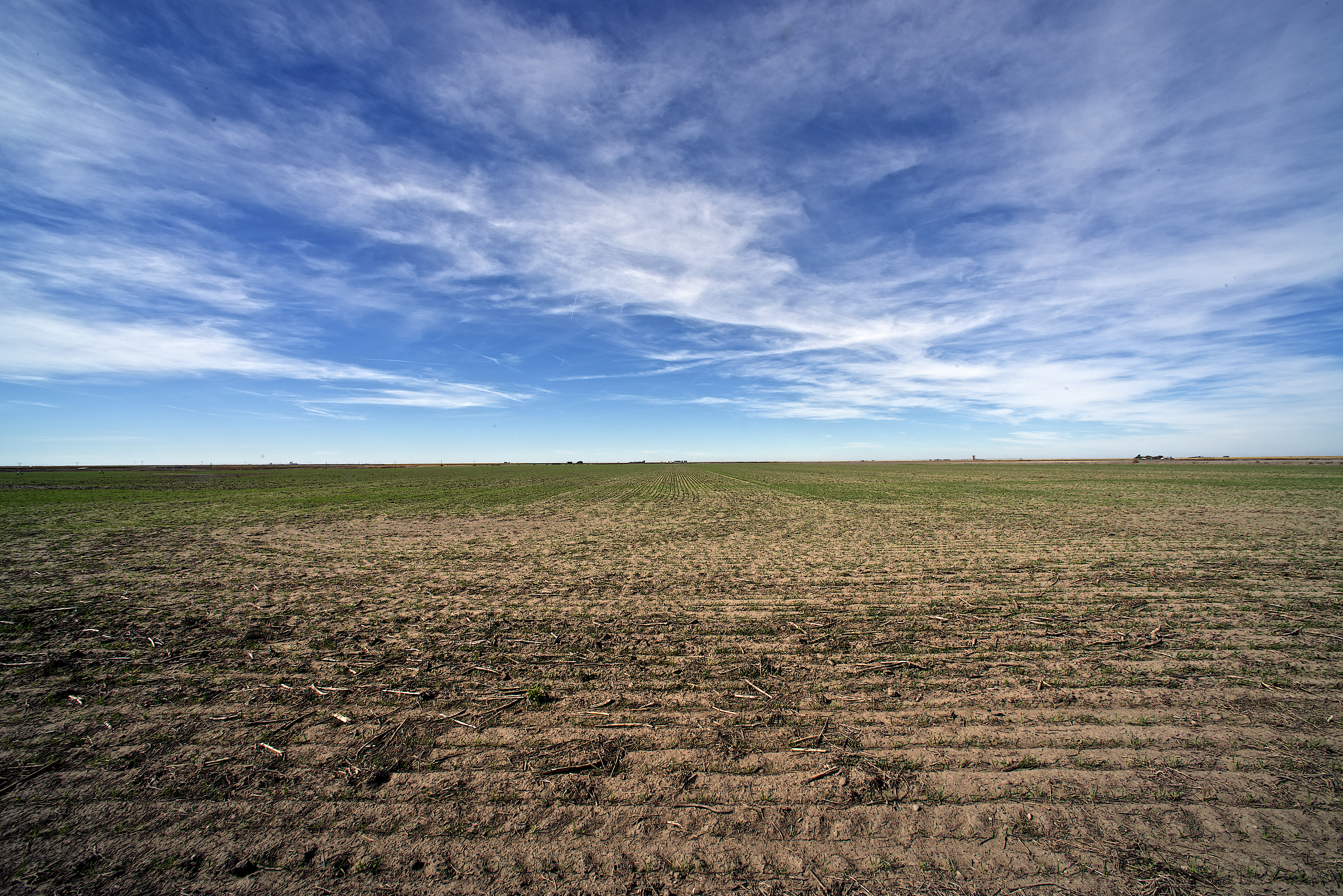 Ingalls, Kansas 10-24-2014 A harvested field now is being burned to rid the field of any left over weeds prior to being replanted. Wind turbines are seen in the distance. Another form of a crop: wind energy. Credit: Mark Reinstein (Photo by Mark Reinstein/Corbis via Getty Images)