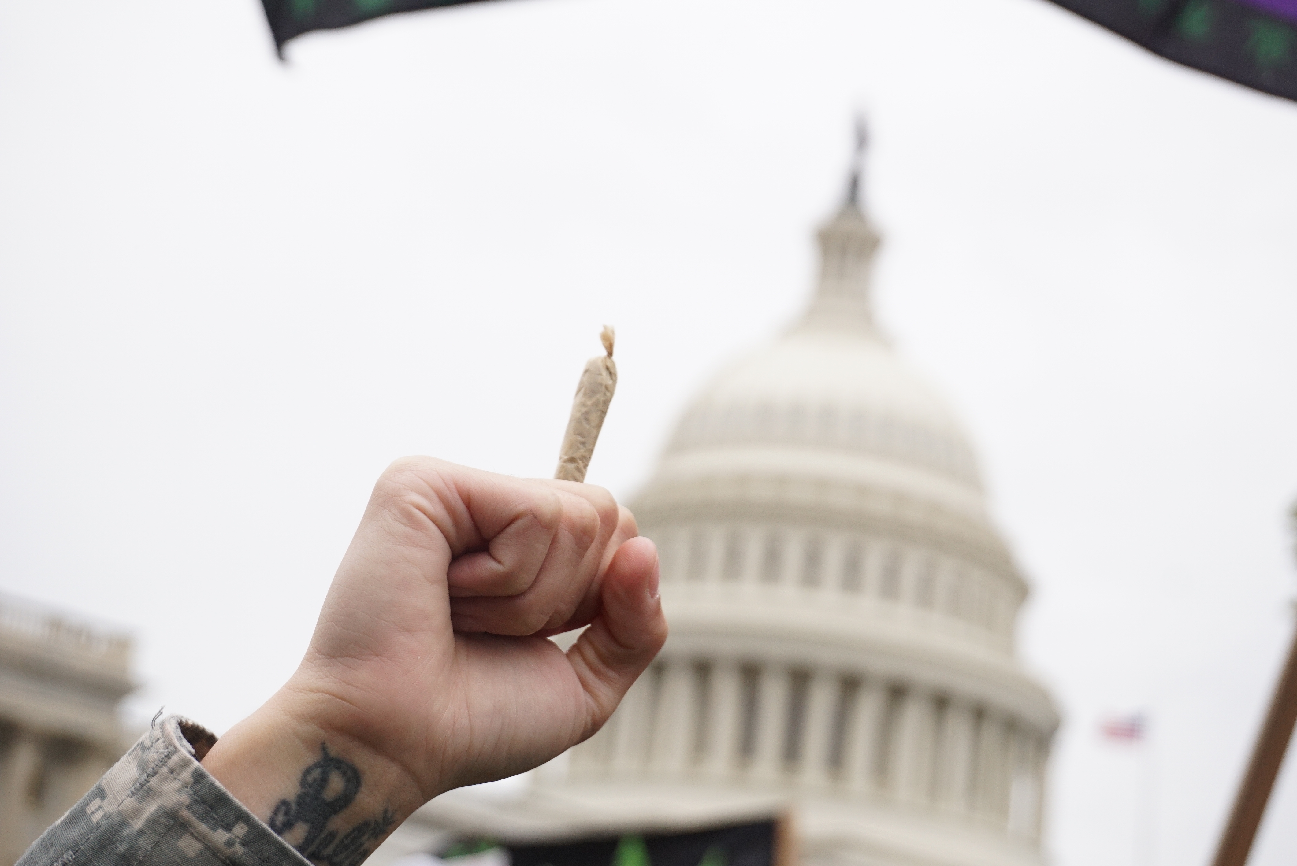 Pro-cannabis activists take part in a rally on Capitol Hill on April 24, 2017 in Washington, DC. (Photo credit: MANDEL NGAN/AFP/Getty Images)