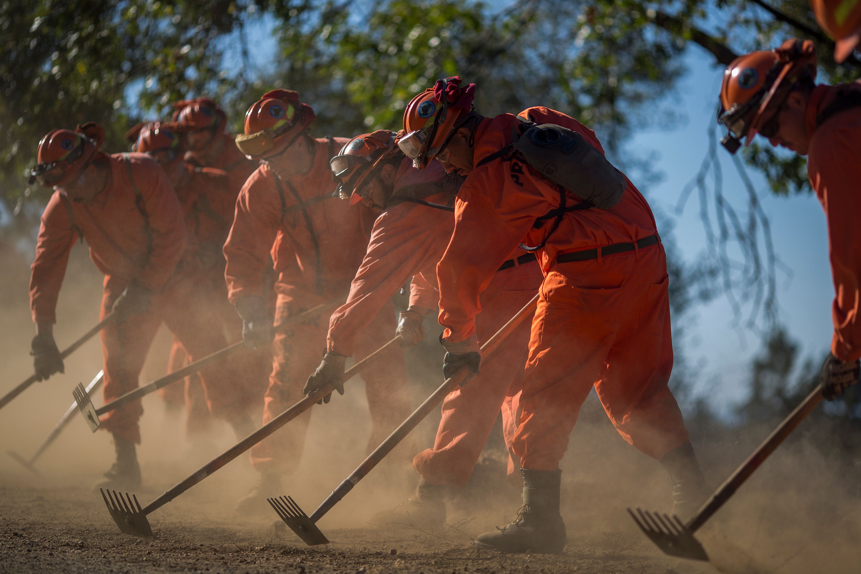 Inmate firefighters from Oak Glen Conservation Camp clear vegetation that could fuel a wildfire near a road under the authority of Cal Fire which calls and treats them as firefighters rather than inmates while they are away from the minimum security prison on September 28, 2017 near Yucaipa, California. (Photo by DAVID MCNEW / AFP)