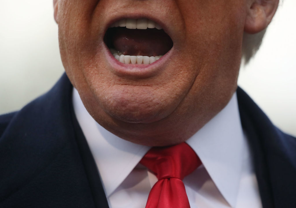 Donald Trump speaks to the media outside of the White House on November 2, 2018. (Mark Wilson/Getty Images)