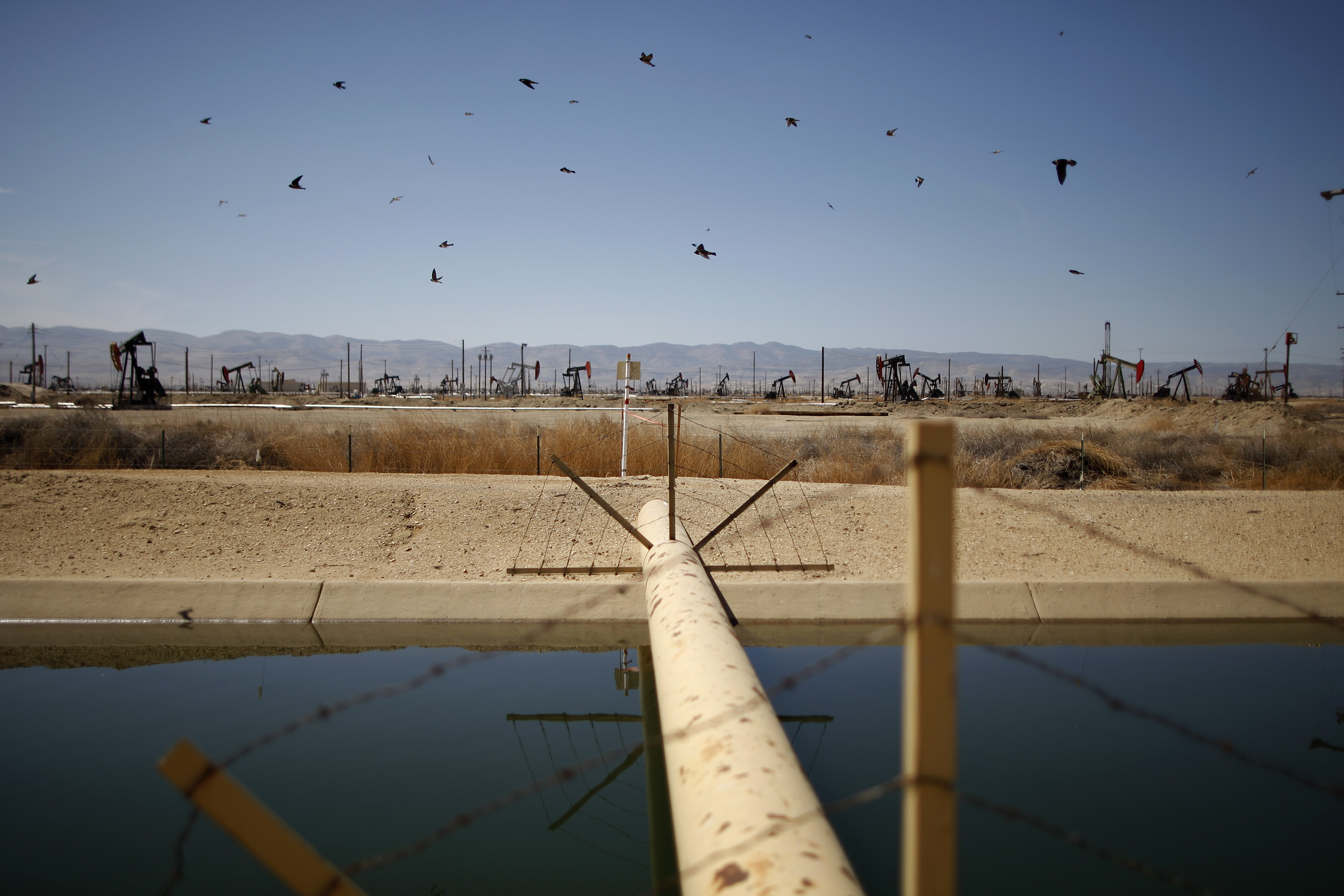 Lost Hills, California. CREDIT: David McNew/Getty Images