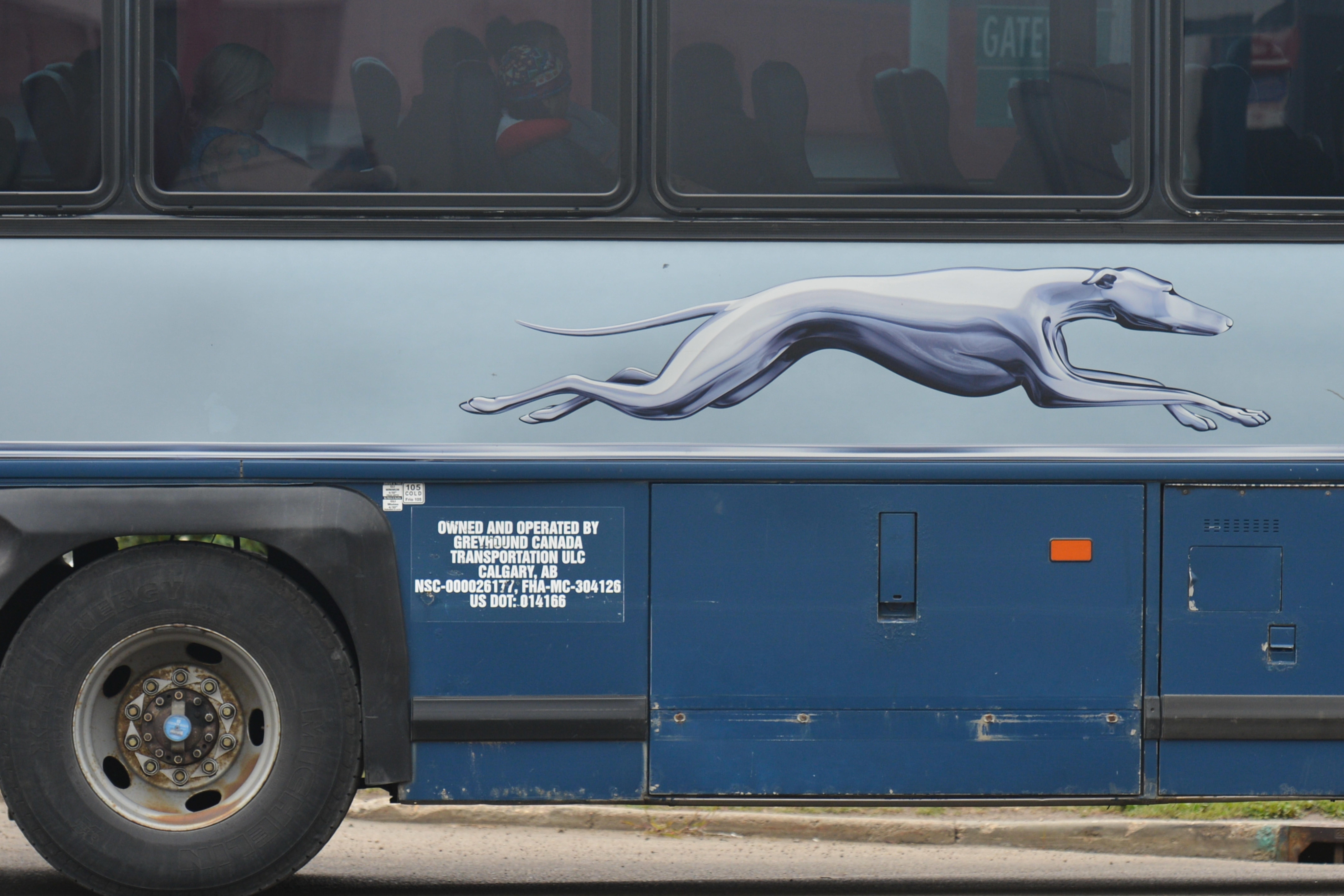 The Greyhound bus company finds itself in the middle of an immigration policy dispute. CREDIT: Artur Widak/NurPhoto via Getty Images