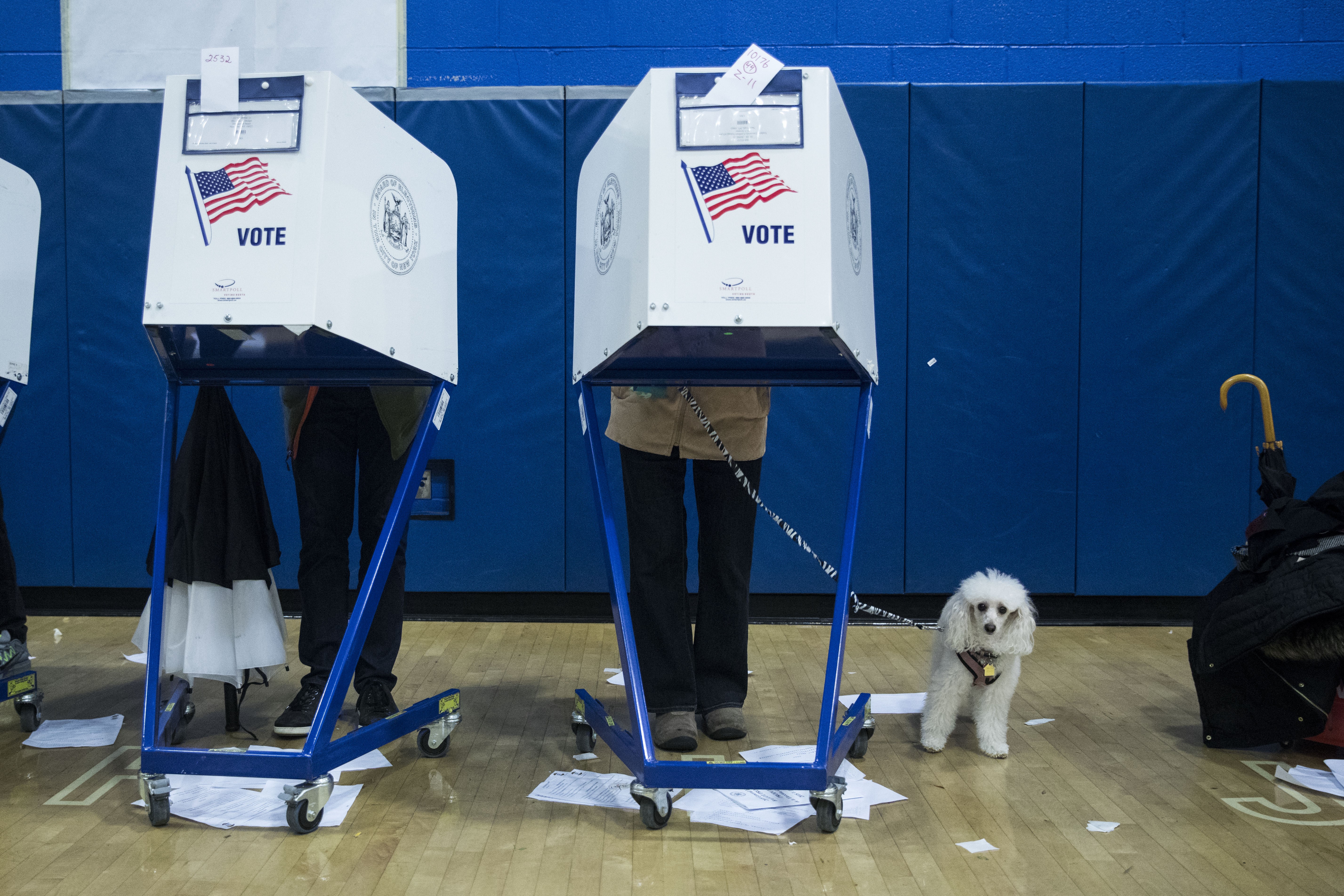 The New York state legislature is poised to pass a suite of bills Monday that could finally overhaul the state's antiquated election system. (PHOTO CREDIT: Photo by Atilgan Ozdil/Anadolu Agency/Getty Images)