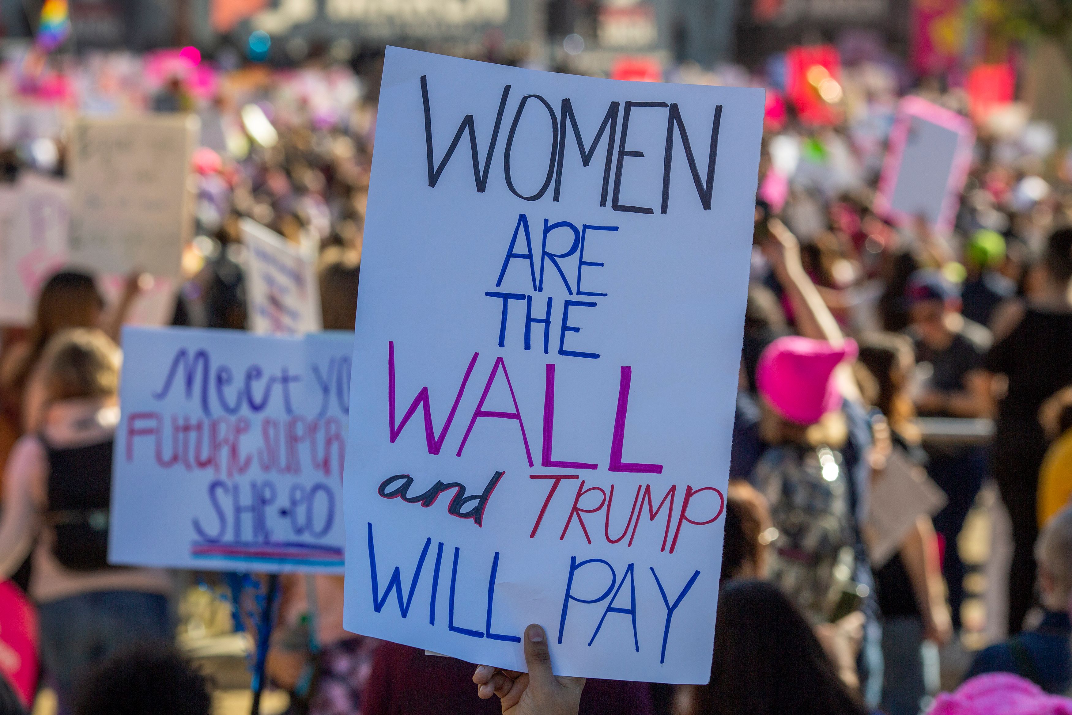A placard at the Los Angeles Women's March on January 19, 2019.
CREDIT: DAVID MCNEW/AFP/Getty Images