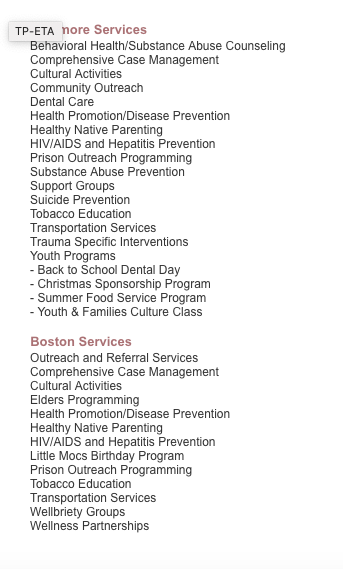 Screenshot of NAL's services