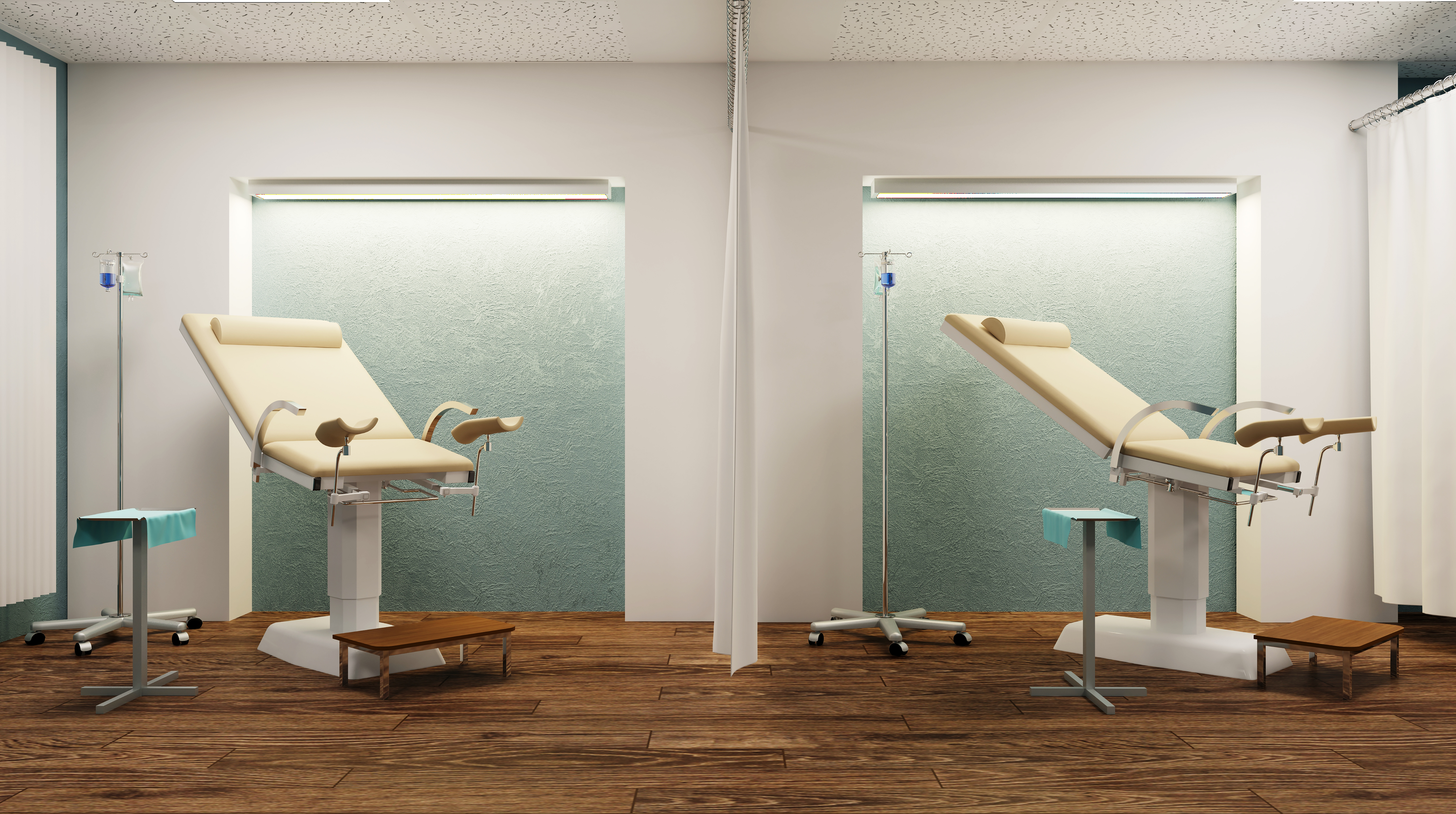 Training Center Gynecology. 3D rendering