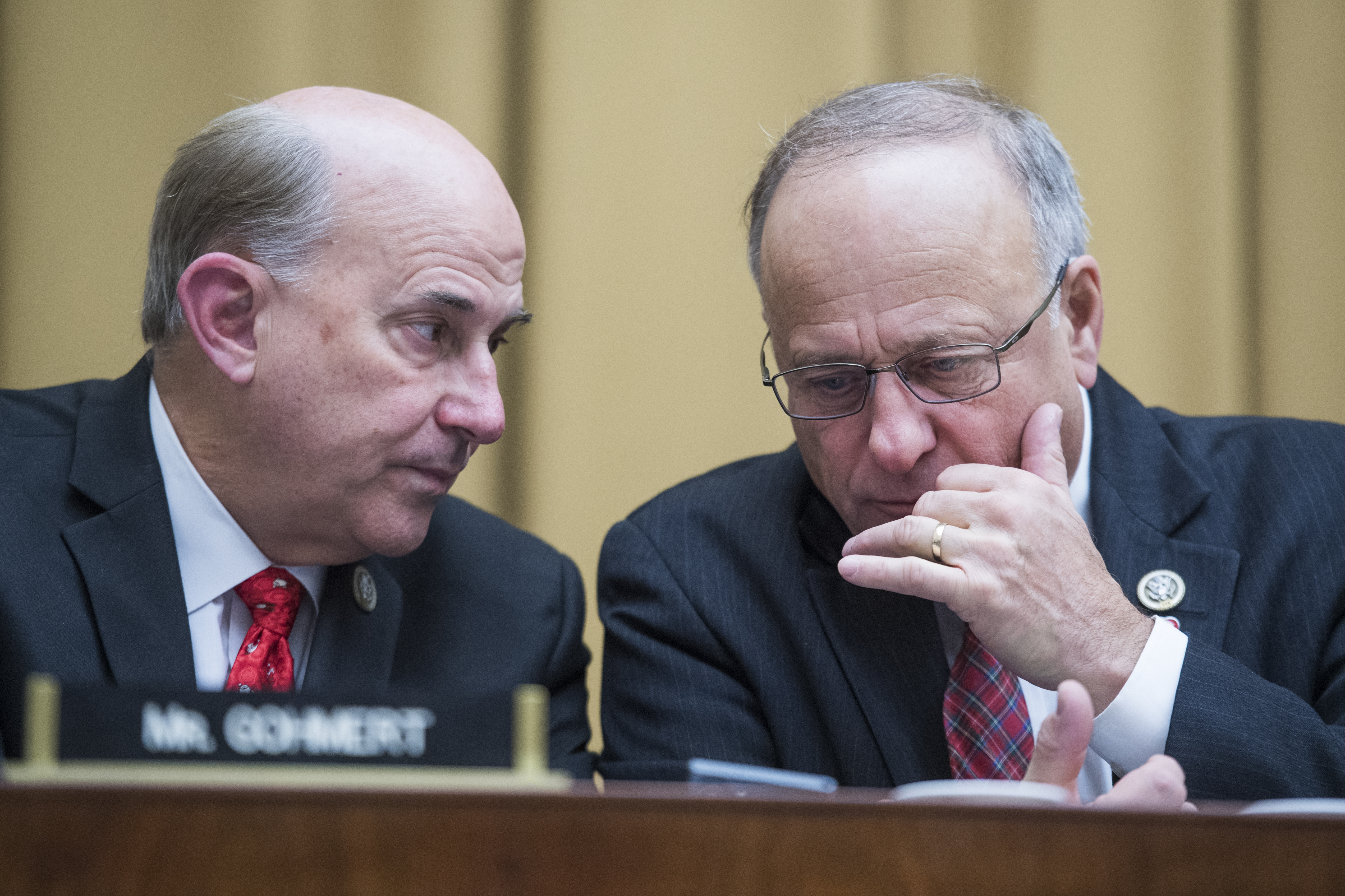 Reps. Louie Gohmert (R-TX) and Steve King (R-IA) at a December 2018 hearing.