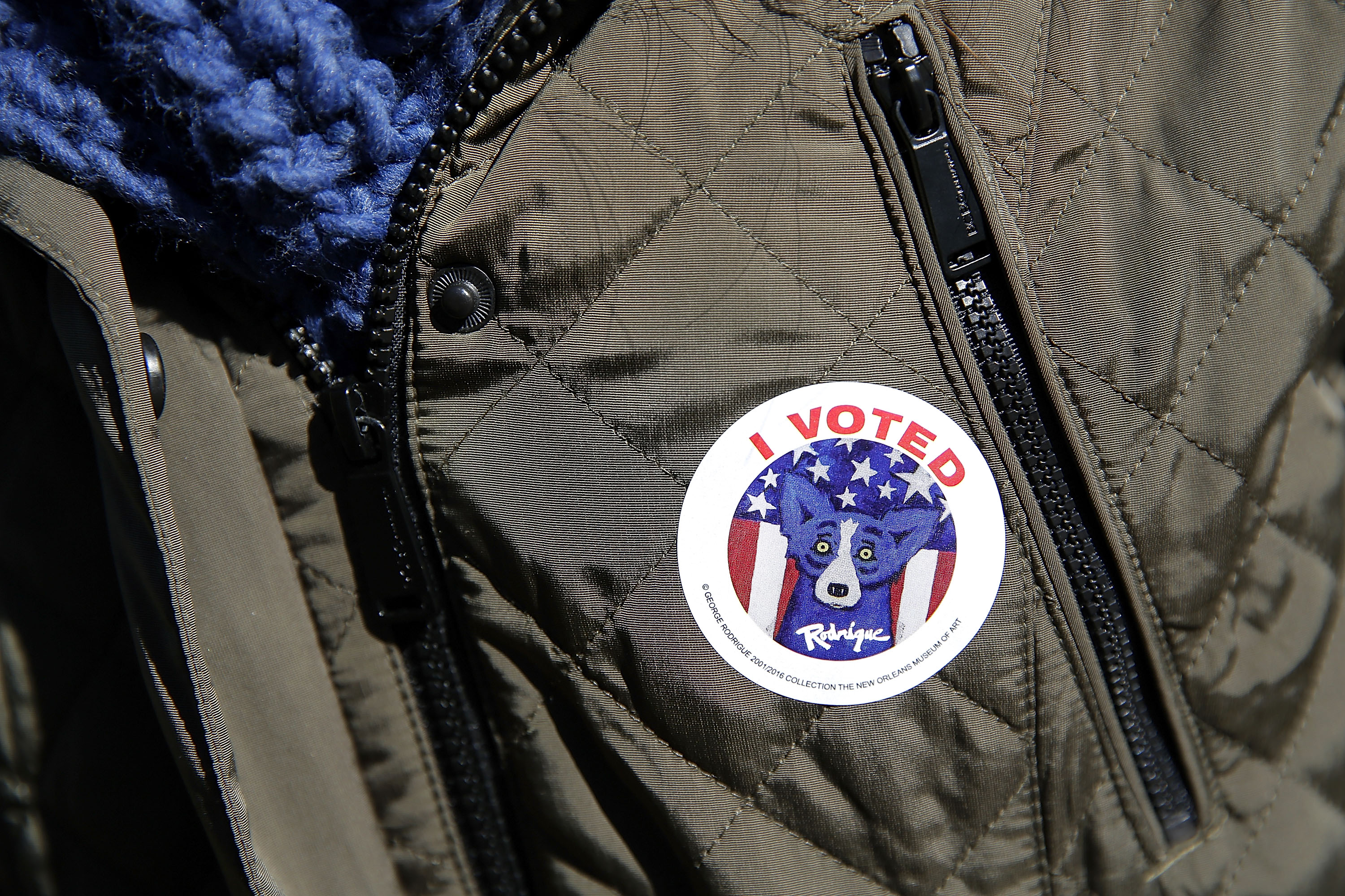 An "I Voted" sticker featuring local Louisiana artist George Rodrigue's Blue Dog is worn by a voter in New Orleans, Louisiana. CREDIT: Jonathan Bachman/Getty Images