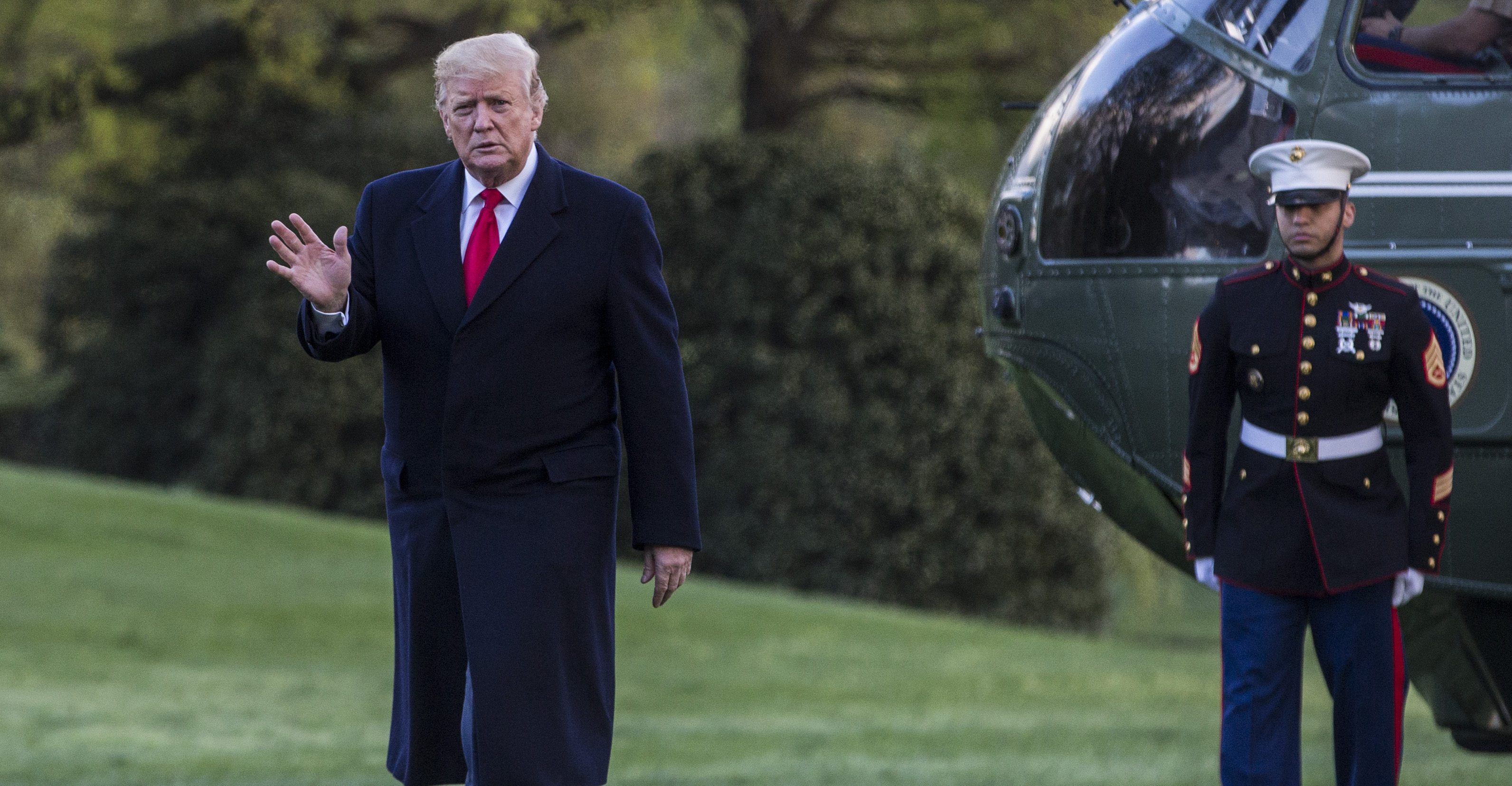 CREDIT: Zach Gibson/Getty Images