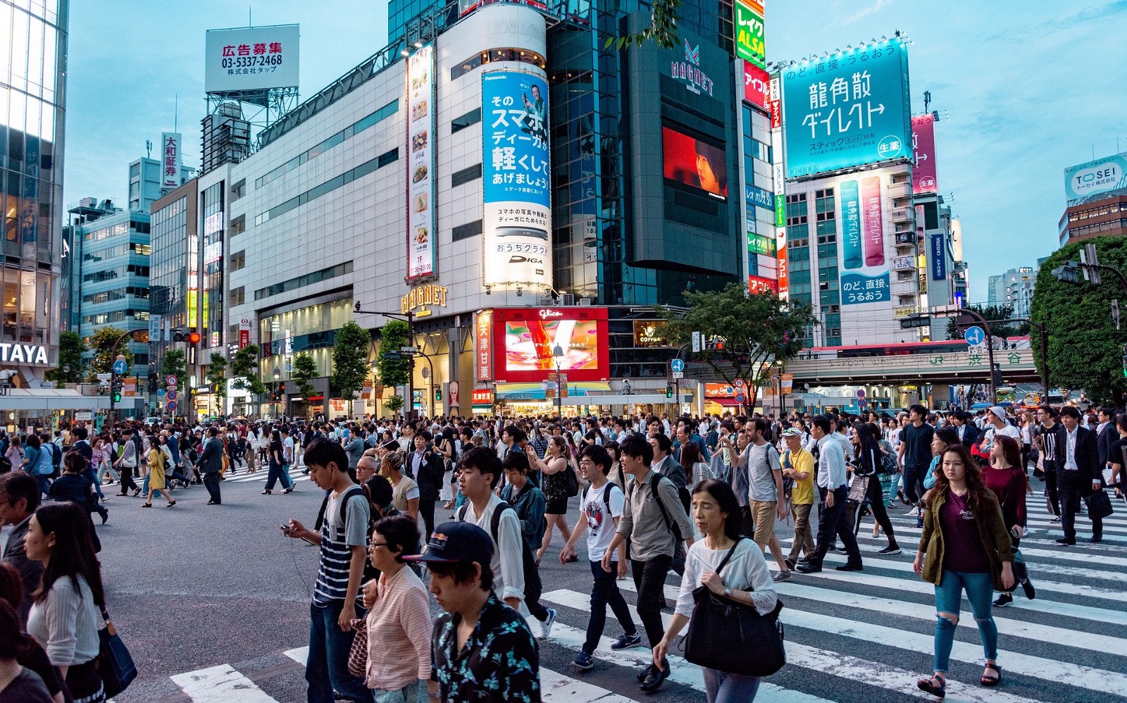 Crowded street crossing in Tokyo, Japan. CREDIT: Pixabay
