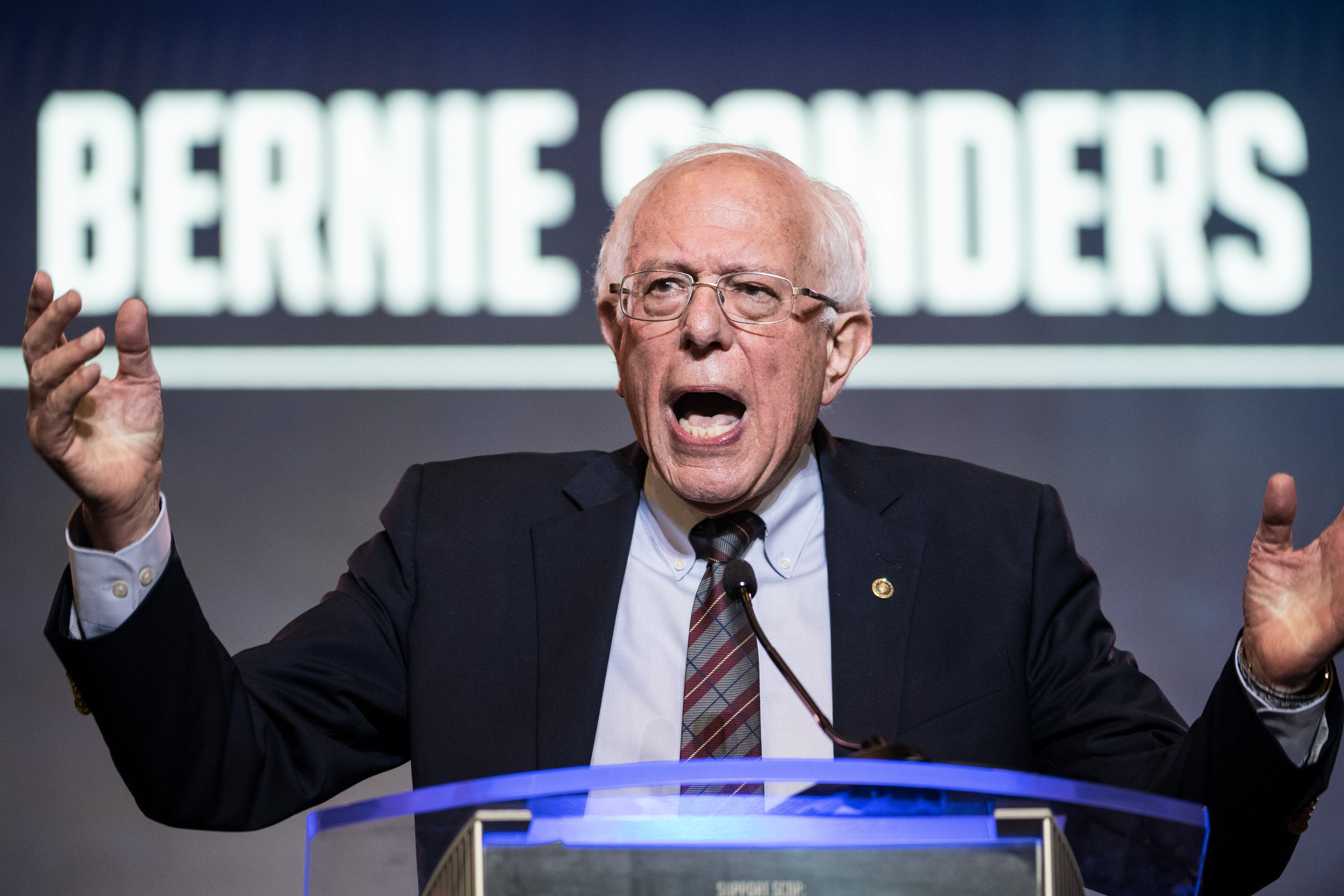 Bernie Sanders. CREDIT: Sean Rayford/Getty Images