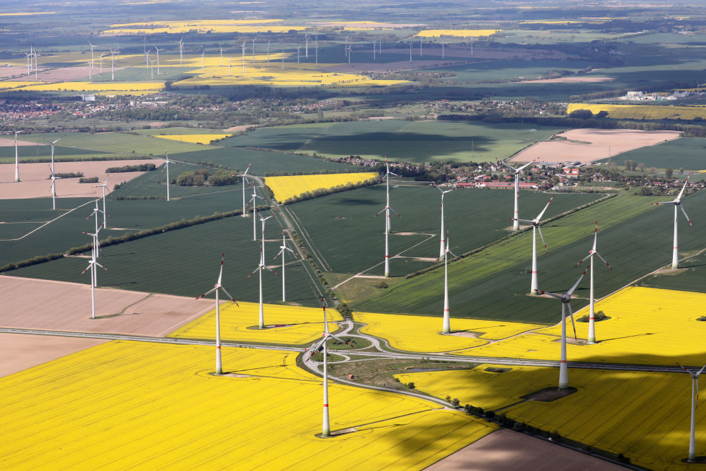 A large wind farm in Mecklenburg-Western Pomerania, Germany, May 14, 2019. CREDIT: Bernd Wüstneck/picture alliance via Getty Images.