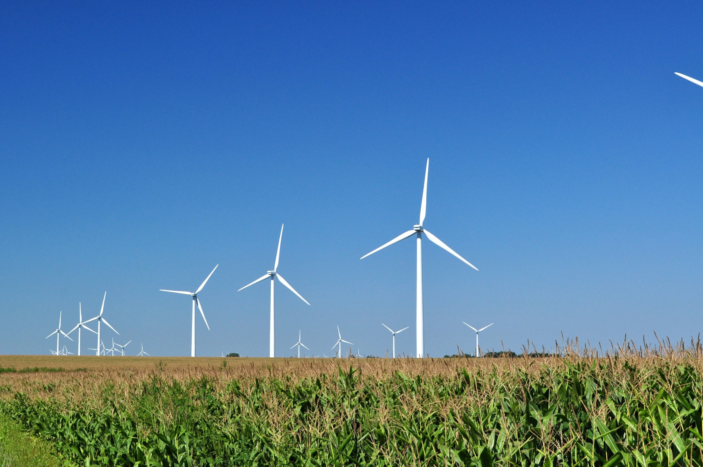 Wind turbines in Illinois. (Photo credit: Tom Shockey)