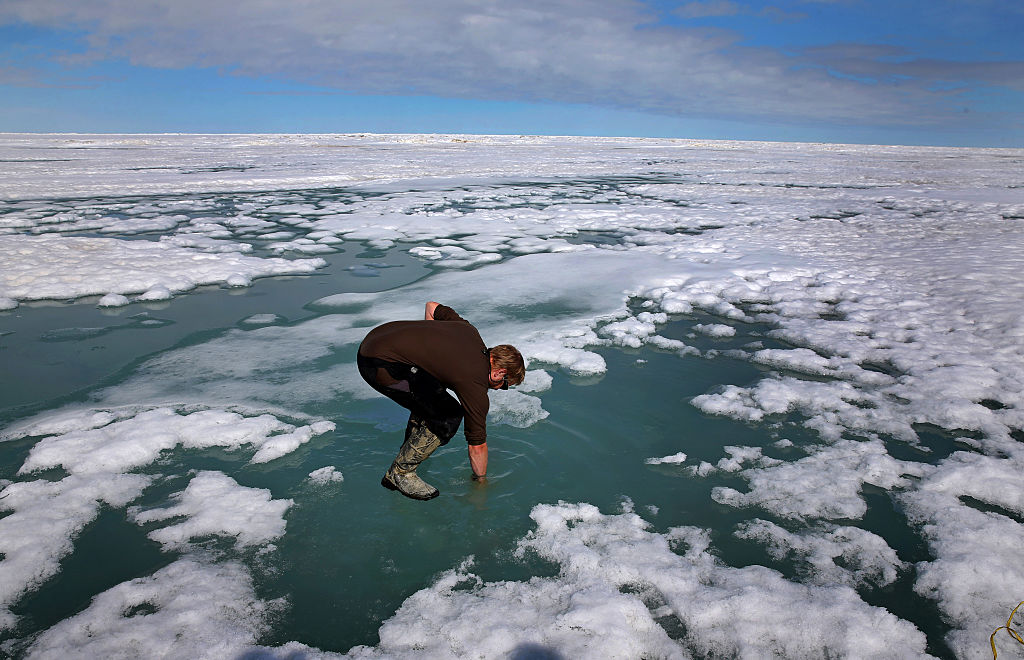 BARROW, AK - JUNE 12: Researcher technician Josh Jones reaches his arm into melted Arctic ice to see how salty the water may be at Barrow, Alaska. (Photo credit: David L. Ryan/The Boston Globe via Getty Images)