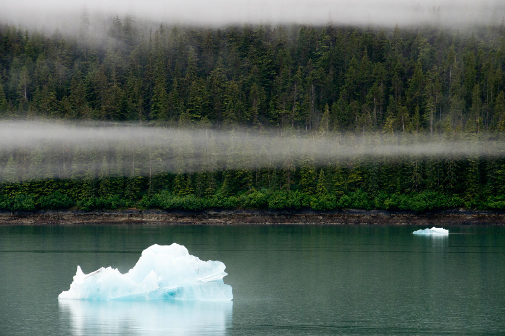 Icebergs near the Dawes Glacier, Endicott Arm, Tongass National Forest, Alaska, USA. (Photo credit: Sergi Reboredo/VW PICS/Universal Images Group via Getty Images)