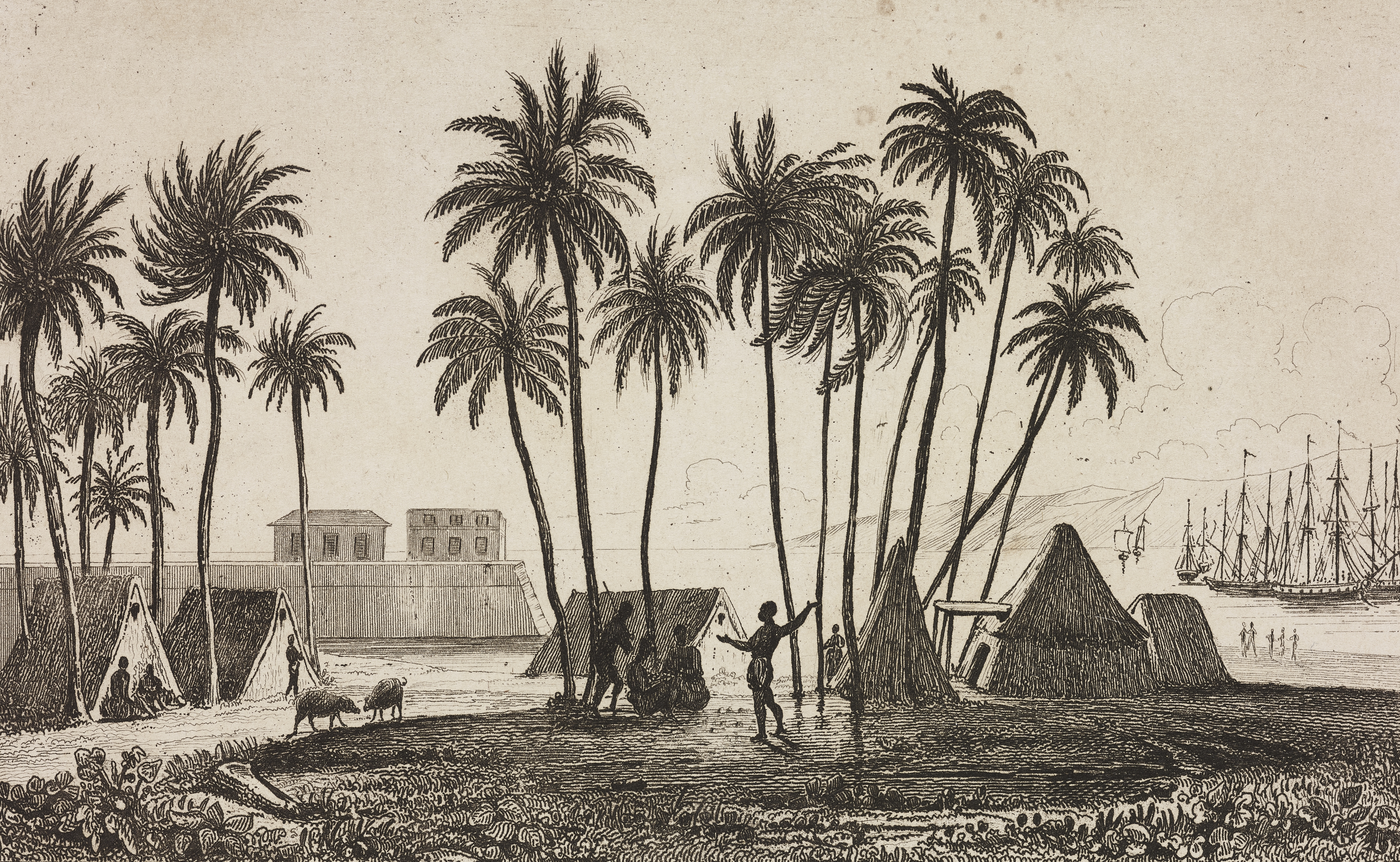 The "vast majority" of native Hawaiians opposed U.S. annexation, but that didn't stop Hawaii from becoming "the first sovereign nation to become a casualty of America's imperial outreach." CREDIT: DE AGOSTINI PICTURE LIBRARY / GETTY