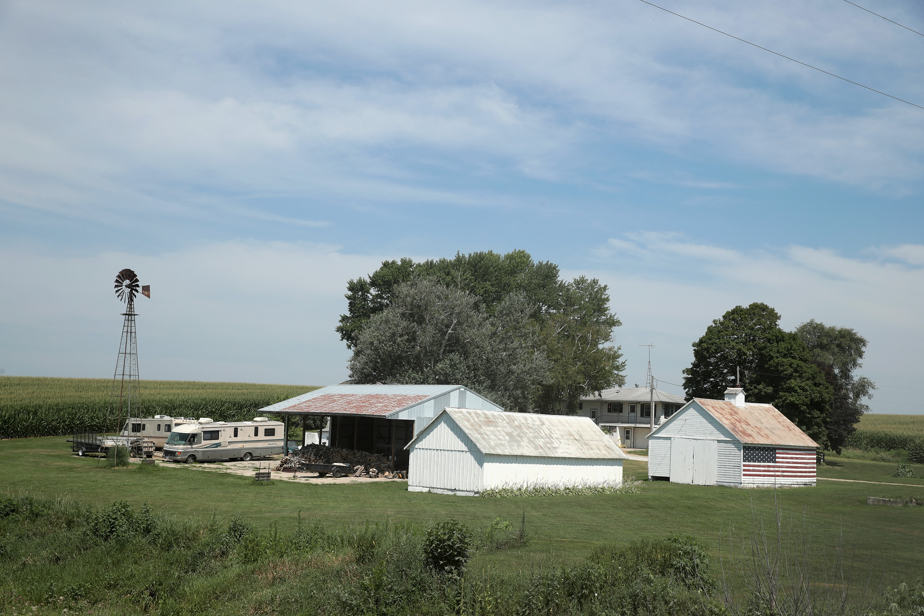 Corn grows on a farm on July 13, 2018 near Amana, Iowa. CREDIT: Scott Olson/Getty Images