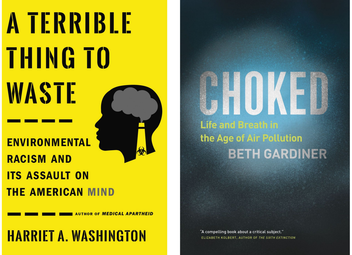 CREDIT: Little, Brown Spark (left), University of Chicago Press (right)